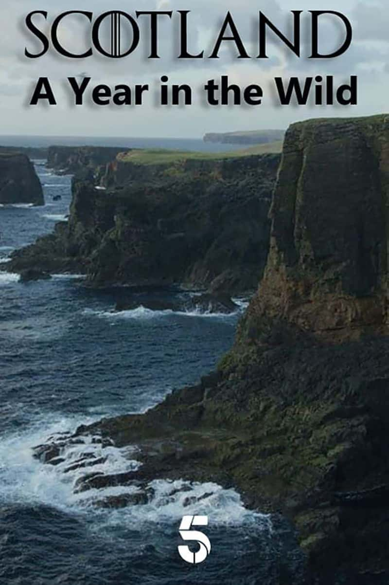 ¼ƬոҰ֮ Scotland: A Wild Year 2022-Ѹ