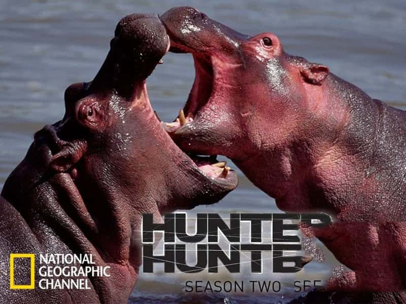 ҵ  Hunter Hunted Danger In The Delta-Ѹ