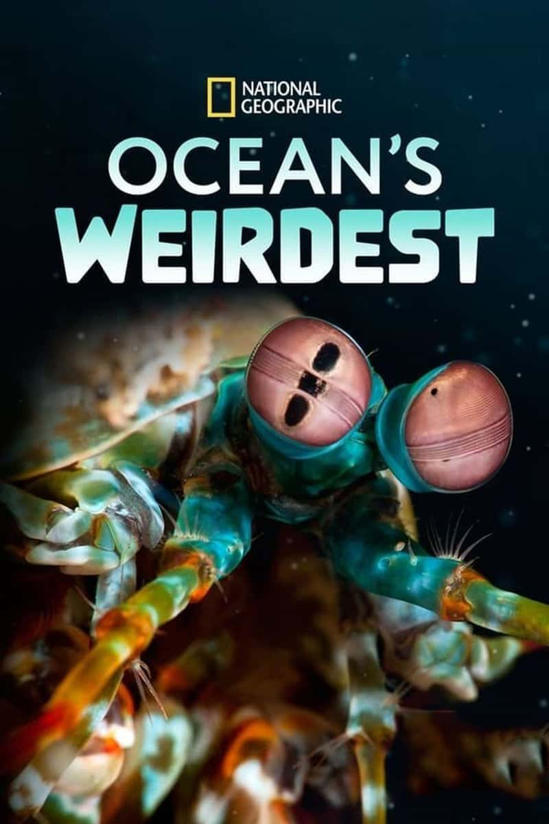 ҵĺ Oceans Weirdest-Ѹ