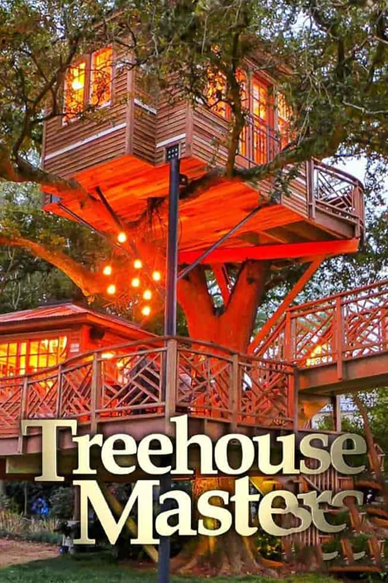 ̽Ƶݴʦ Treehouse Masters-Ѹ