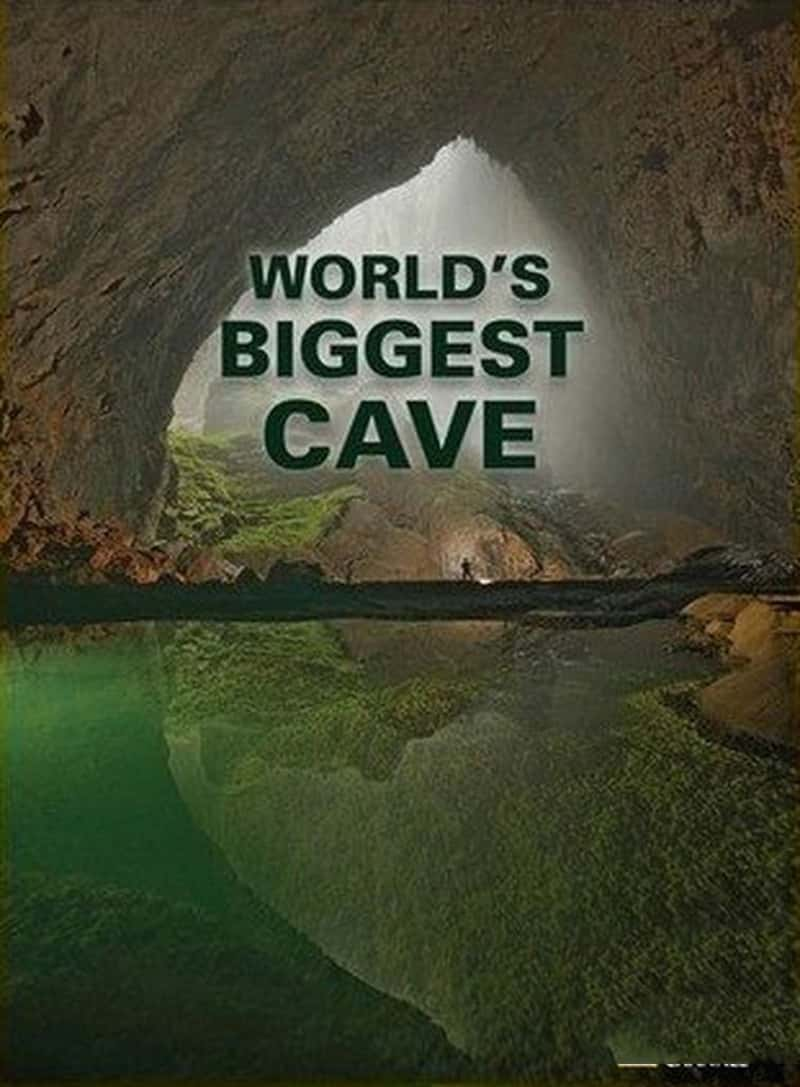 ҵĶѨ Worlds Biggest Cave 2010-Ѹ