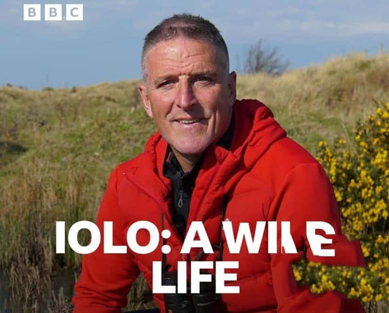 BBC¼Ƭ壺Ұ Iolo: A Wild Life 2022-Ѹ