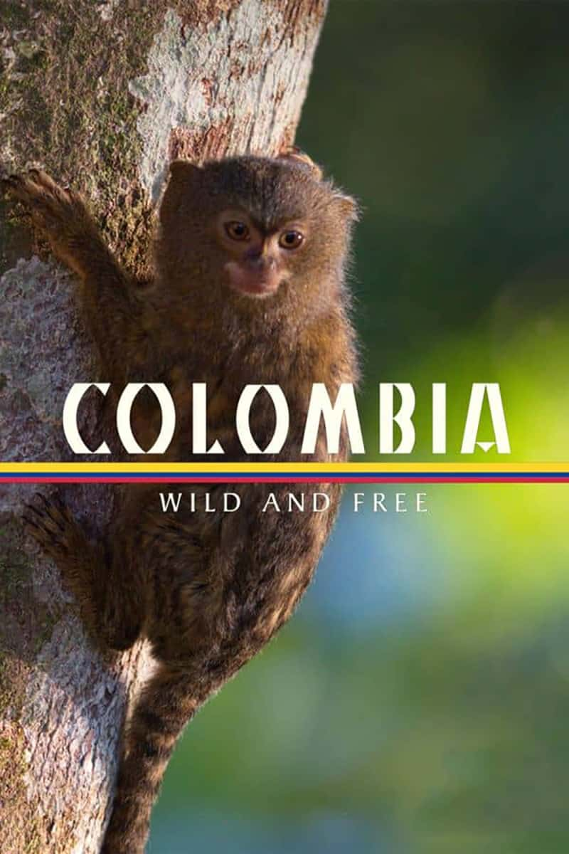 PBS¼Ƭױ - Ұ Colombia - Wild and Free 2022-Ѹ