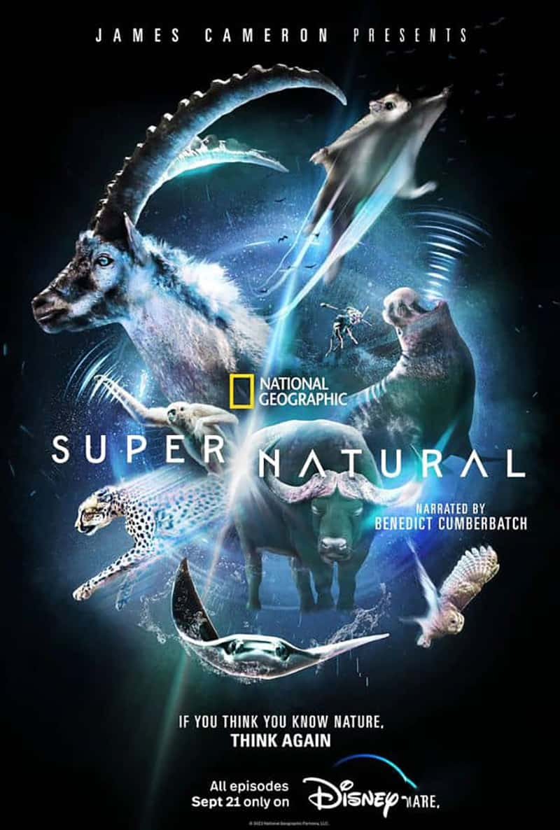 ҵ/ʿ¼Ƭ/Ȼ Super/Natural 2022-Ѹ