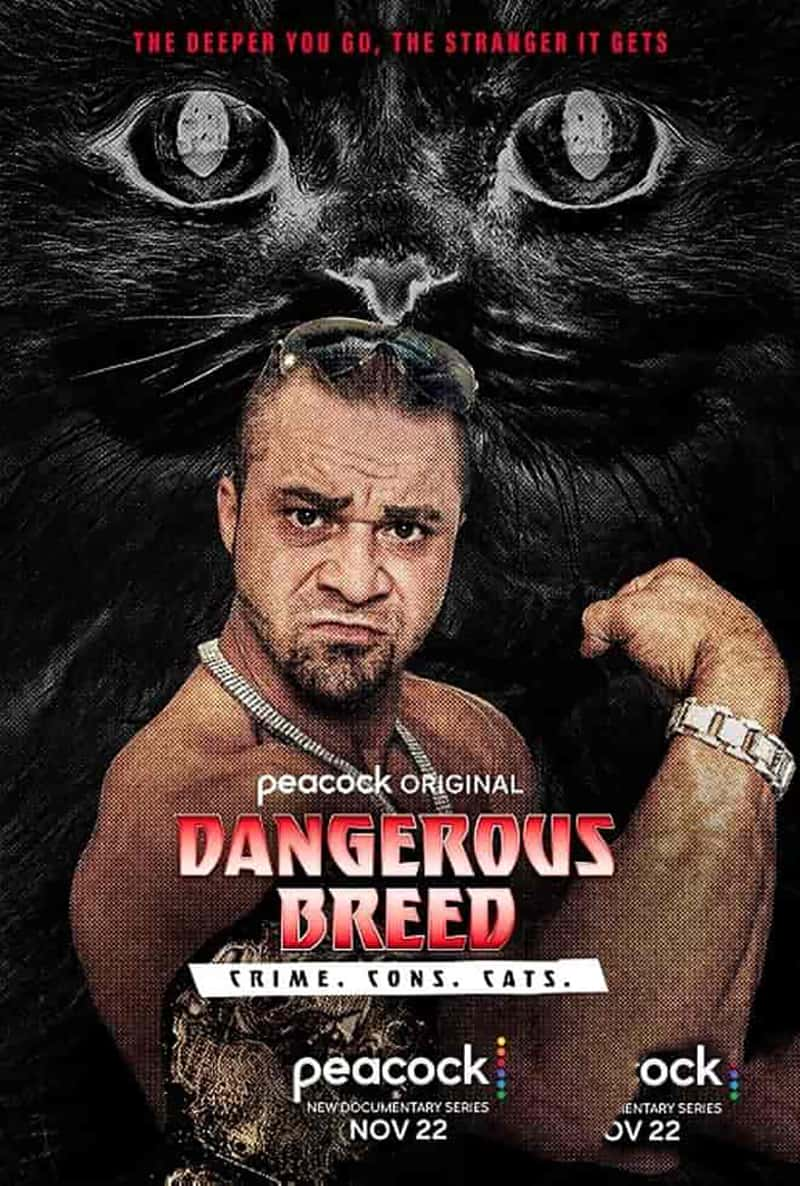 ¼ƬΣƷ֣. ײ. è.  Dangerous Breed: Crime. Cons. Cats 2022-Ѹ