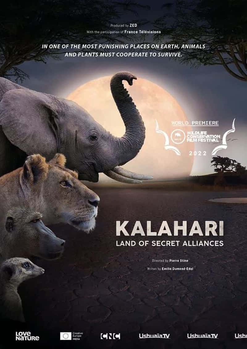 ¼Ƭؾ֮ Kalahari: Land of Secret Alliances 2022-Ѹ