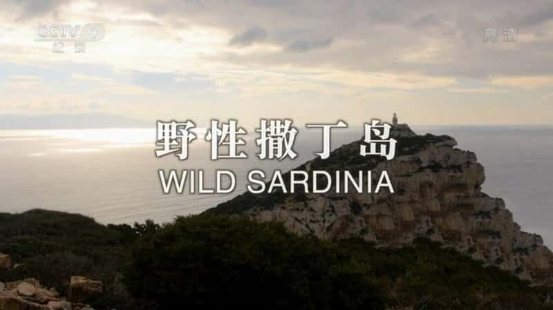 ¼ƬҰ Wild Sardinia 2017-Ѹ