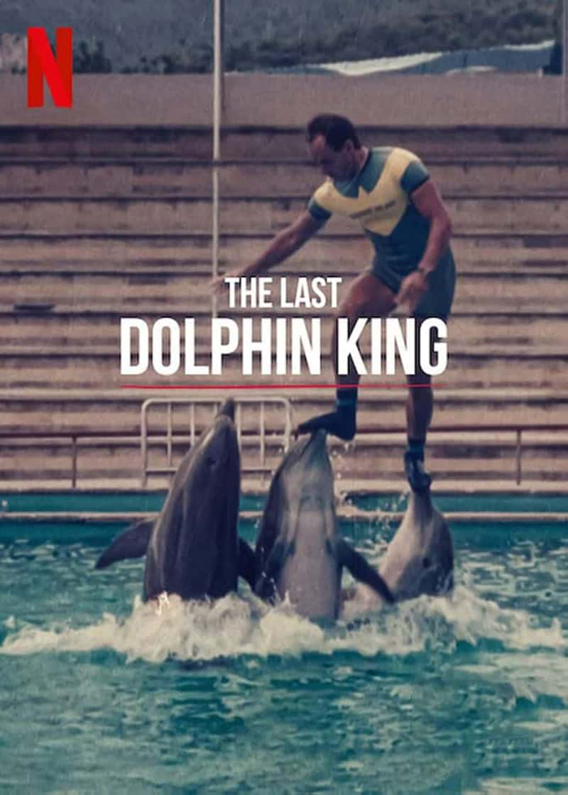 ¼Ƭ֮ The Last Dolphin King 2022-Ѹ