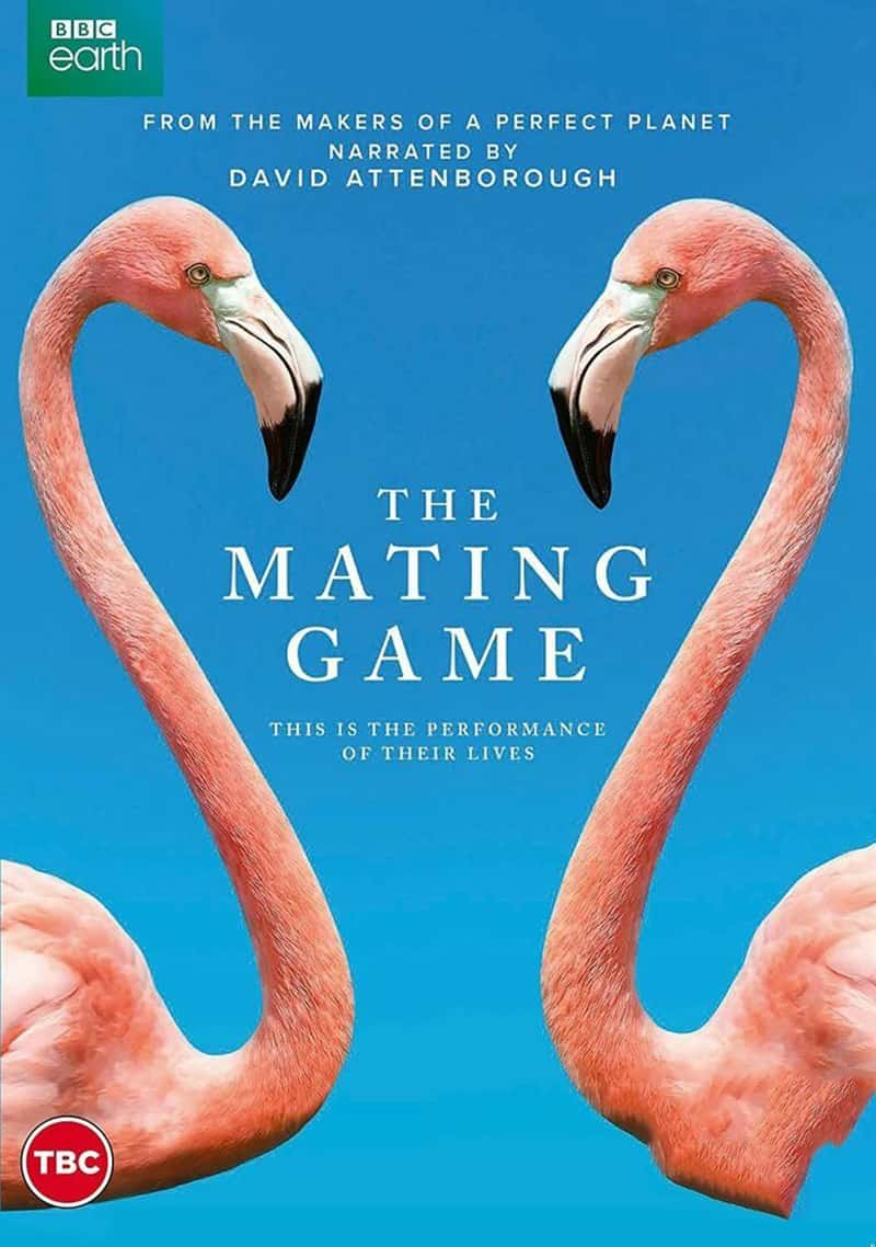 BBC¼ƬżϷ The Mating Game 2021-Ѹ