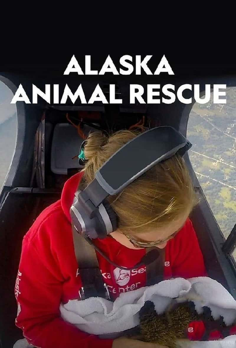 ҵ˹ҰԮ Alaska Animal Rescue 2020-Ѹ