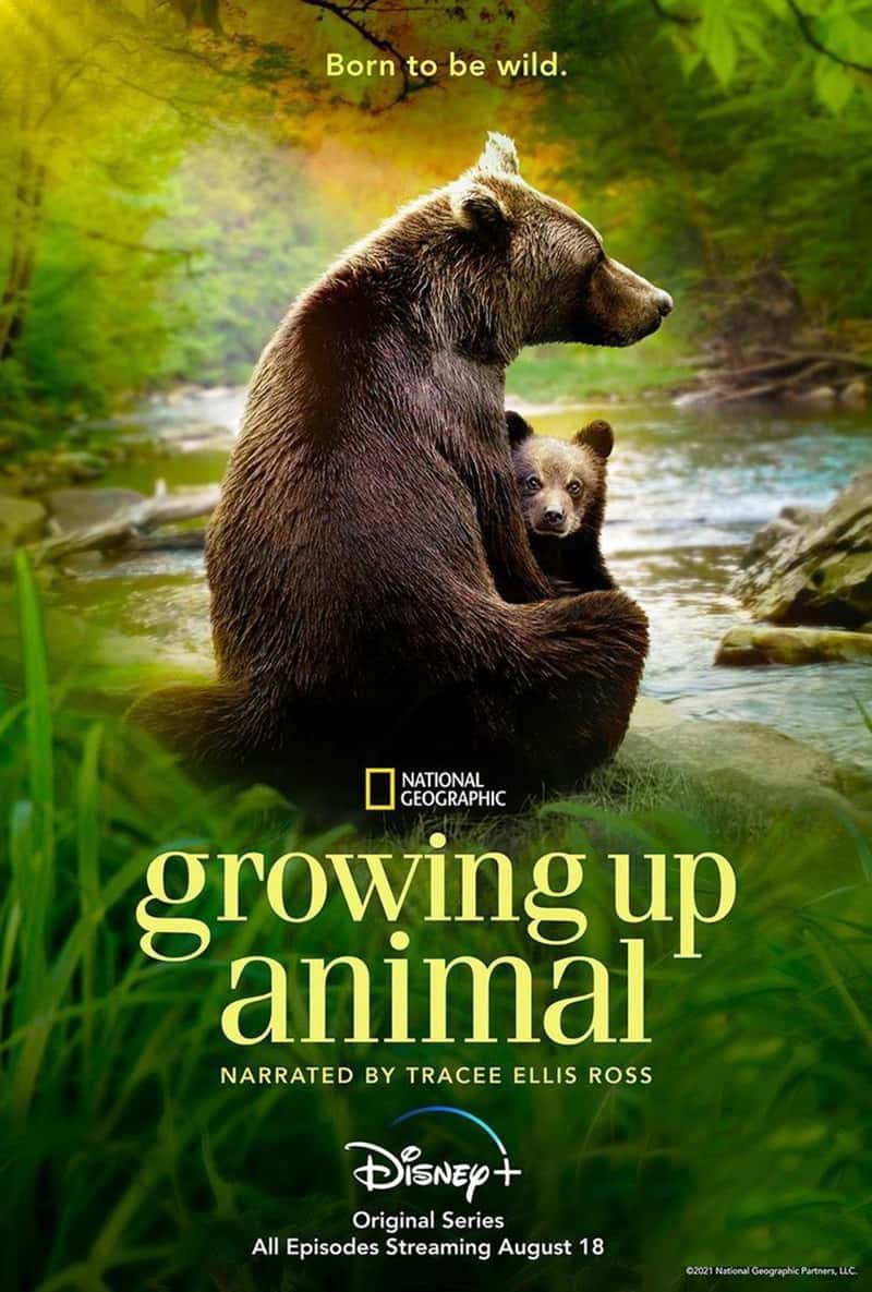 ҵ/ʿ¼Ƭɳ Growing Up Animal 2021-Ѹ