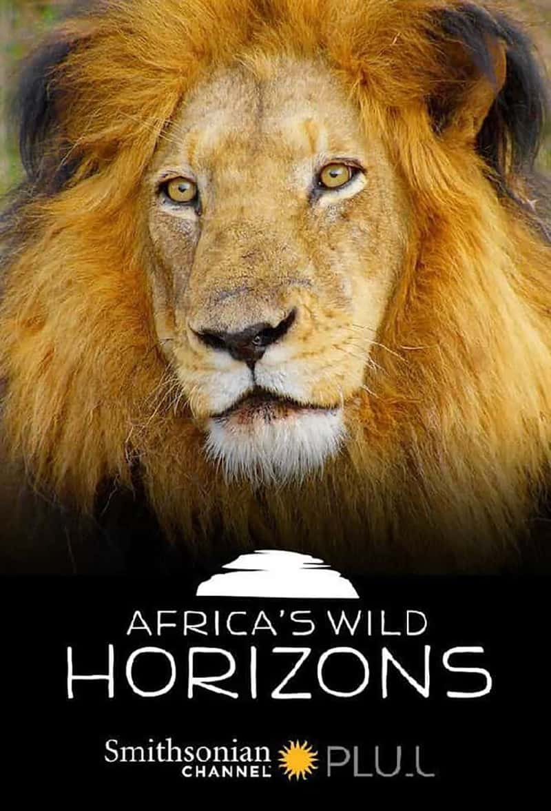 ʷɭƵ޿Ұƽ Africas Wild Horizons 2020-Ѹ