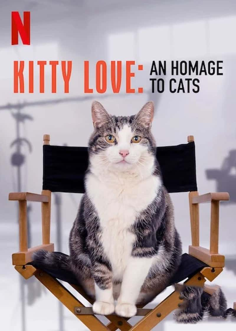 ¼Ƭˣè Kitty Love: An Homage to Cats 2021-Ѹ