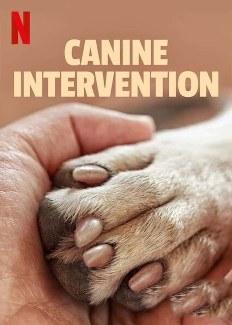 Netflix¼ƬѱȮʦ Canine Intervention 2021-Ѹ