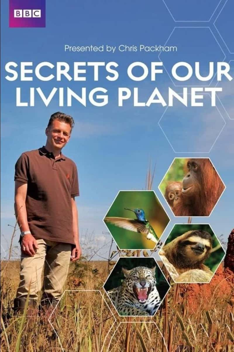 BBC¼Ƭ Secrets of Our Living Planet 2012-Ѹ