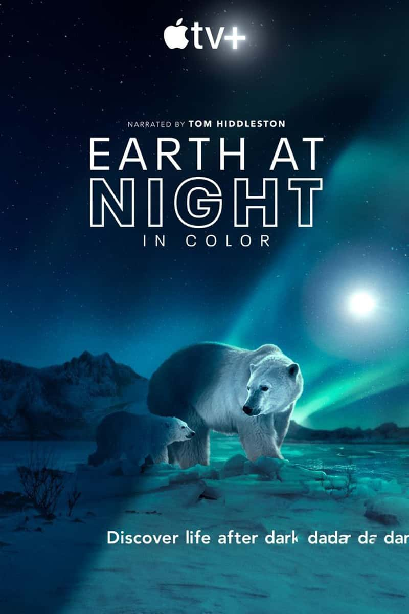 AppleTVҹɫеĵ Earth at Night in Color 2021-Ѹ