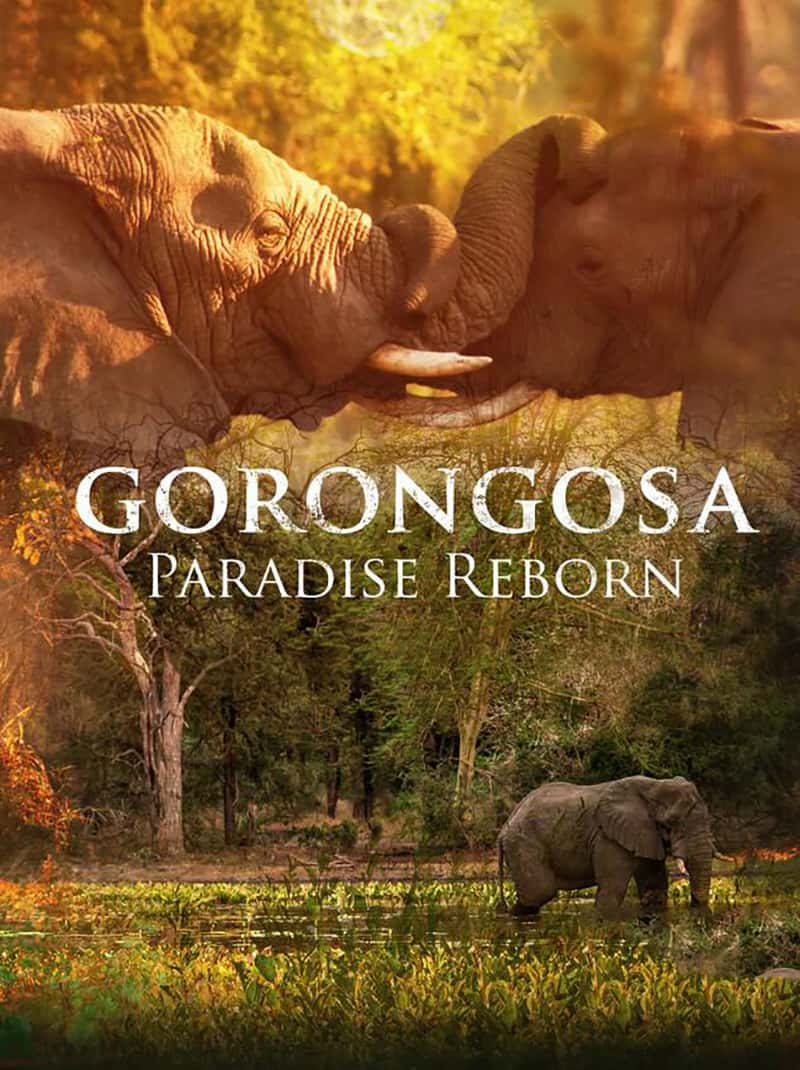 ҵ Gorongosa: Paradise Reborn 2022-Ѹ