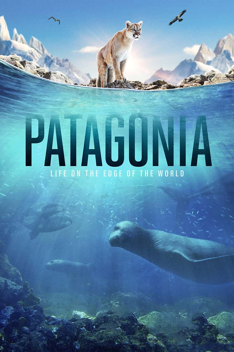 CNN¼ƬǣԵ Patagonia: Life on the Edge of the World 2022-Ѹ