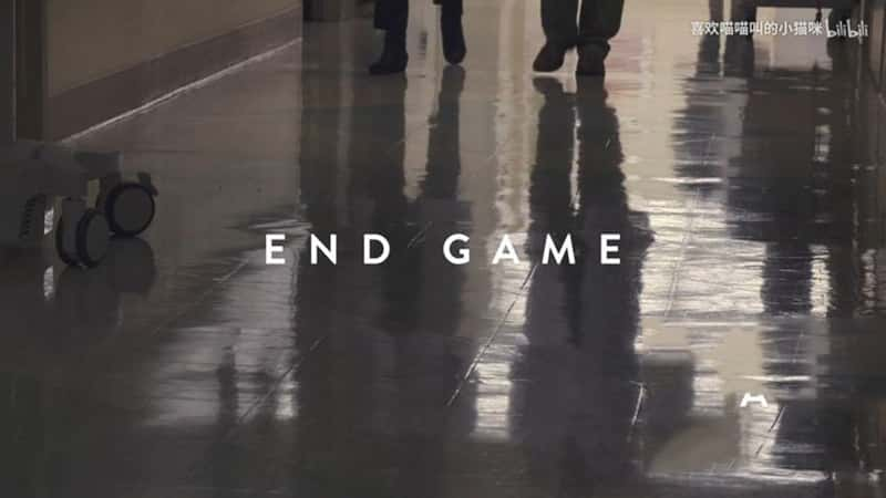 Netflix¼Ƭվ End Game-Ѹ