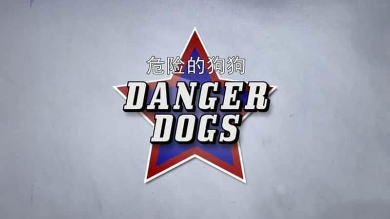 ¼ƬΣյĹ Danger Dogs 2018-Ѹ