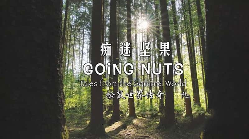 Altayfilm¼ƬԼ-紫 Going Nuts Tales from Squirrel World 2019-Ѹ