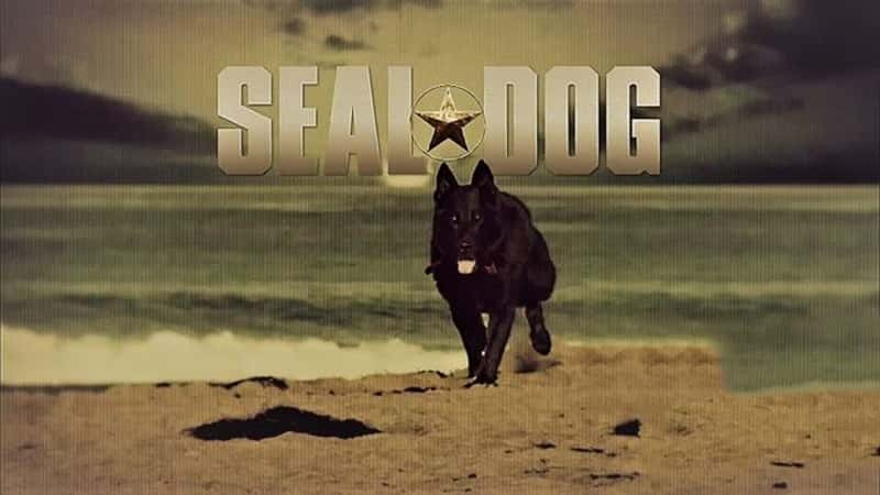 ʷɭƵͻӵľȮ Seal Dog 2014-Ѹ