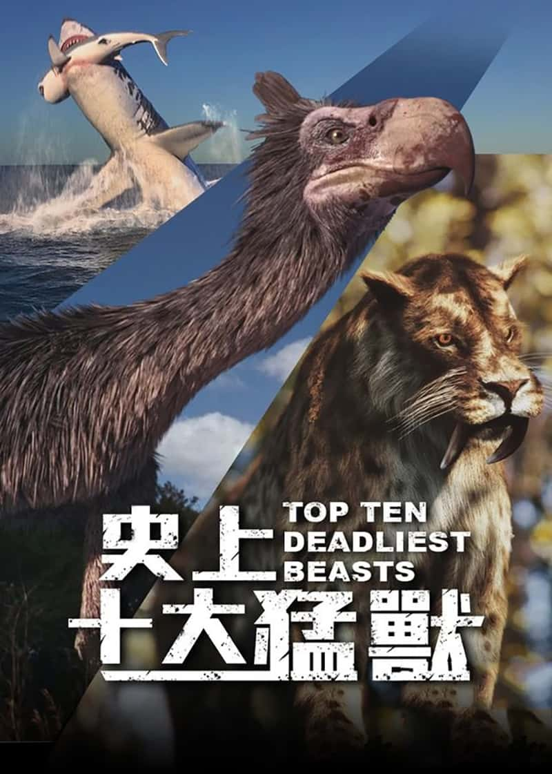 BBC¼ƬʮҰ Top Ten Deadliest Beasts 2019-Ѹ