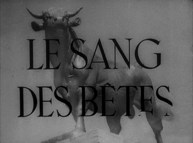 France¼ƬѪ Blood of the Beasts 1949-Ѹ