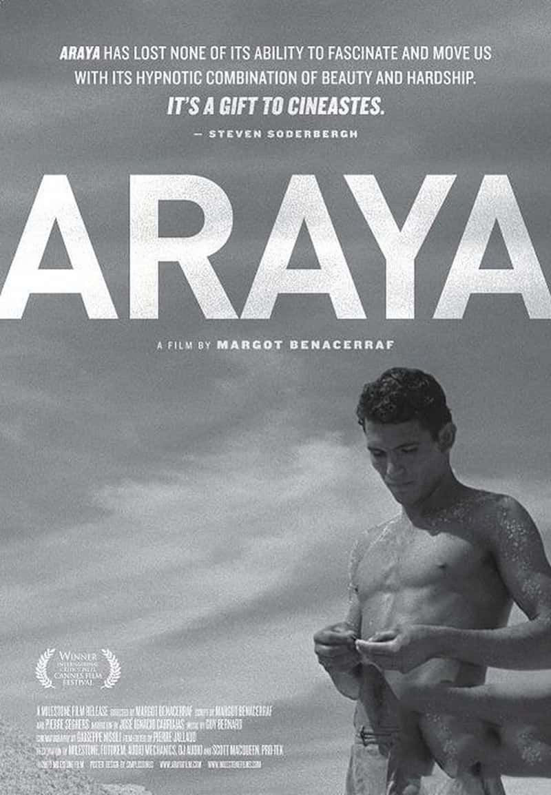 ¼Ƭ Araya 1959-Ѹ