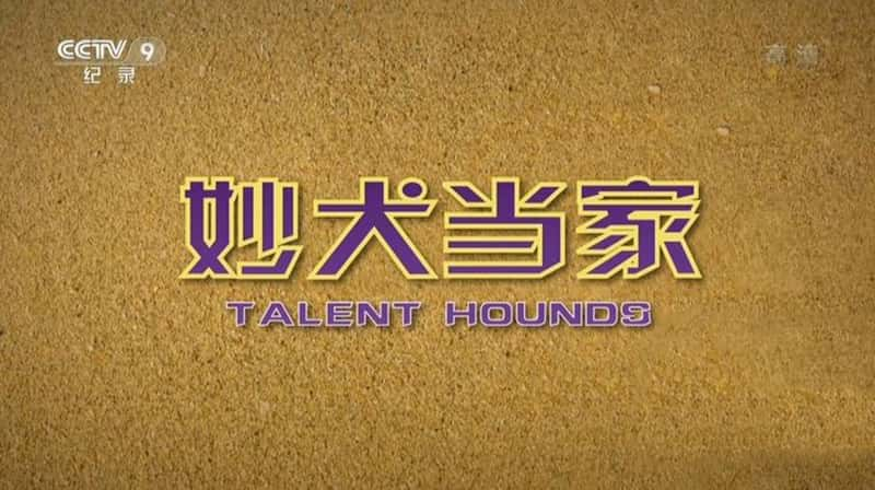 ¼ƬȮ Talent Hounds-Ѹ