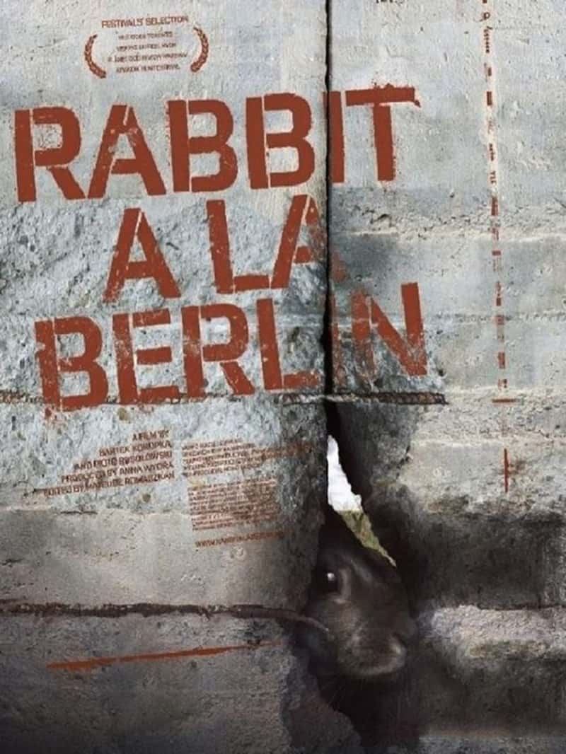 ¹¼ƬǽҰ Rabbit  la Berlin 2009-Ѹ