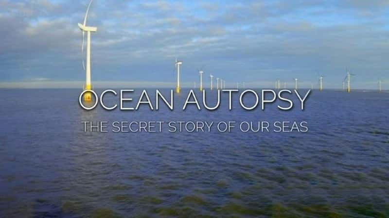 BBC¼ƬʺǺ Ocean Autopsy: The Secret Story of Our Seas-Ѹ