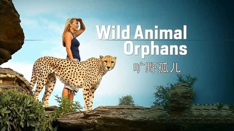 ϷǼ¼ƬҰ¶/Ұ¶ Wild Animal Orphans-Ѹ