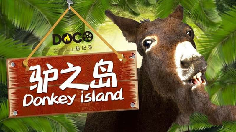 ¼Ƭ¿֮ Donkey Island 2012-Ѹ