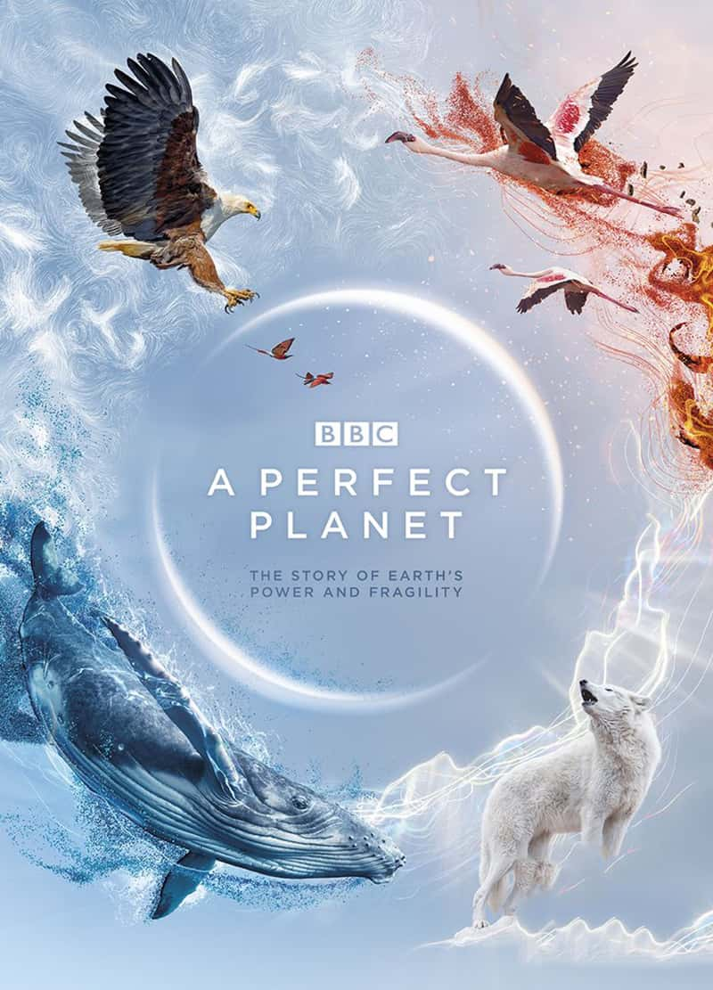 BBC¼Ƭ A perfect planet 2020-Ѹ