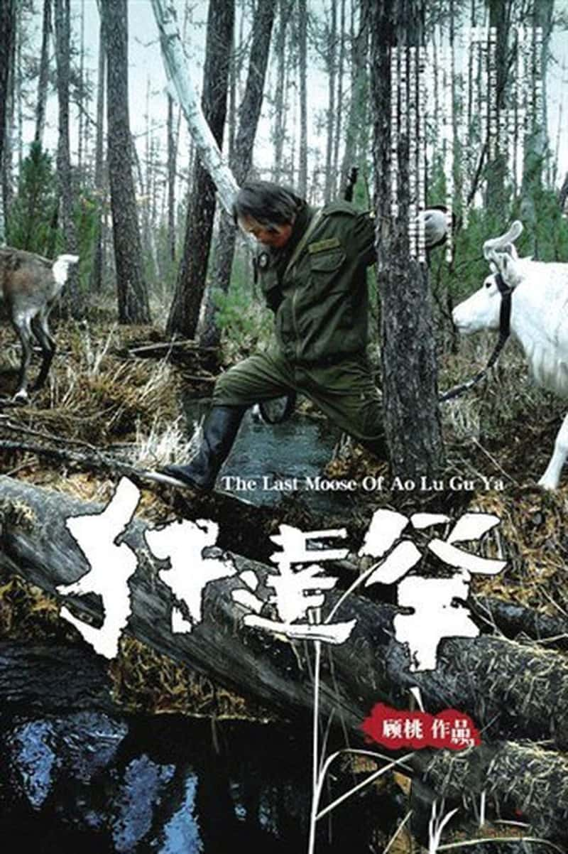 ̨¼Ƭﺱ he Last Moose of Ao Lu Gu Ya 2013-Ѹ