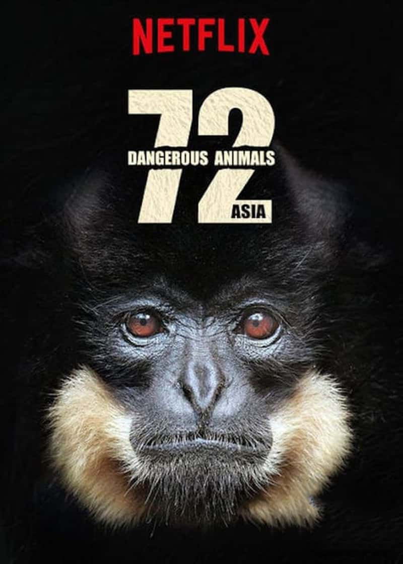 Netflix¼Ƭ72 Σնƪ 72 Dangerous Animals: Asia 2018-Ѹ