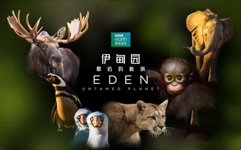 BBC¼Ƭ԰ ؾ Eden: Untamed Planet 2021-Ѹ