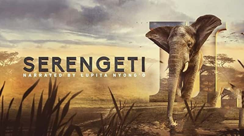 BBC¼Ƭ׸ǵ Serengeti 2021-Ѹ