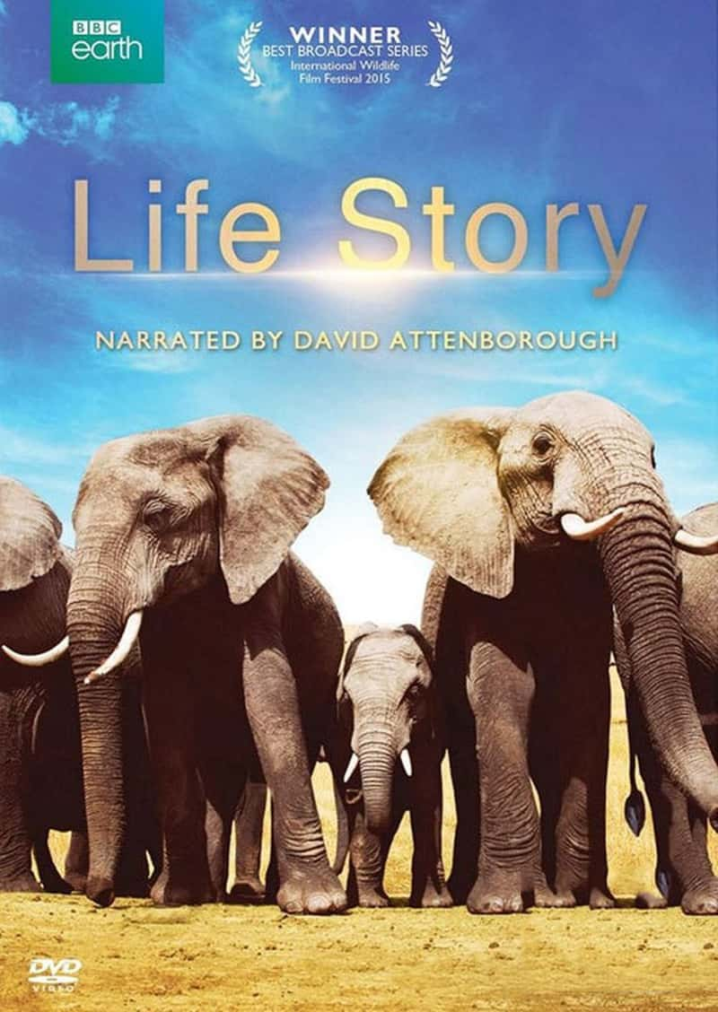 BBC¼ƬĹ Life Story 2014-Ѹ