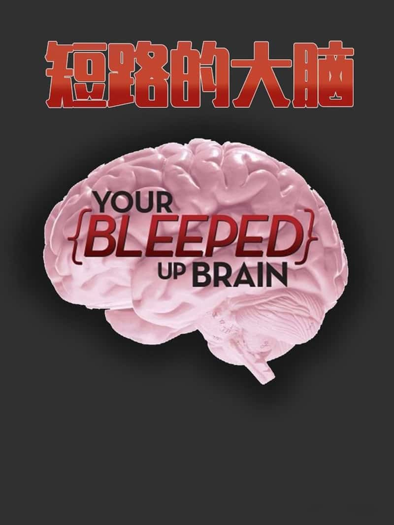 ʷƵ·Ĵ Your Bleeped up Brain 2013-Ѹ