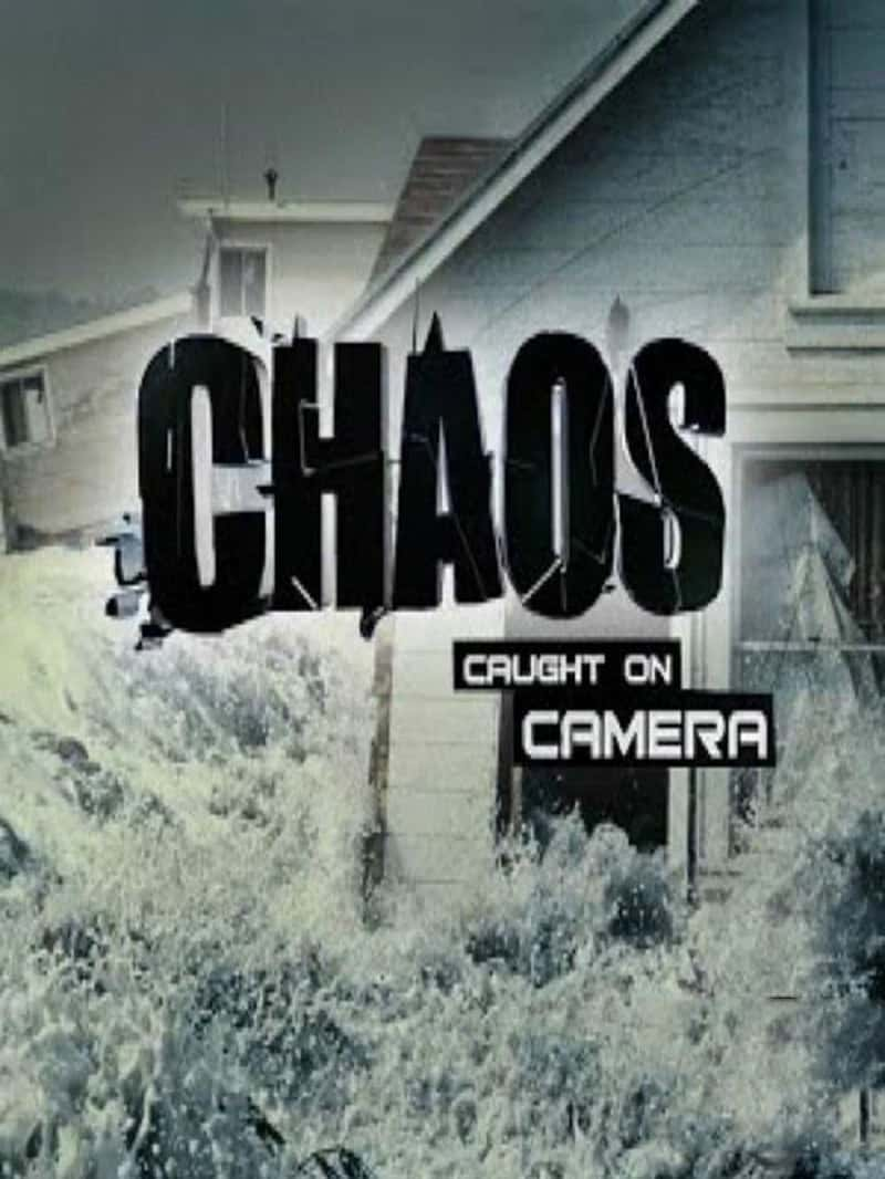 ̽Ƶʵһ Chaos Caught On Camera 2015-Ѹ