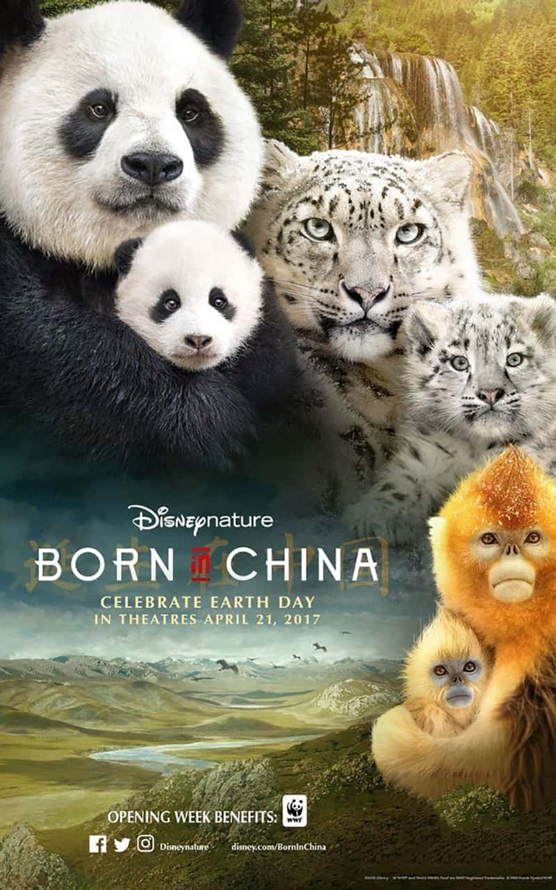 ʿ¼Ƭǵй Born In China-Ѹ