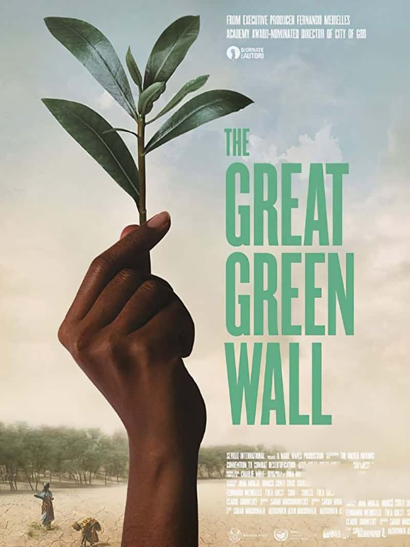 Ӣ¼Ƭɫ The Great Green Wall 2019-Ѹ