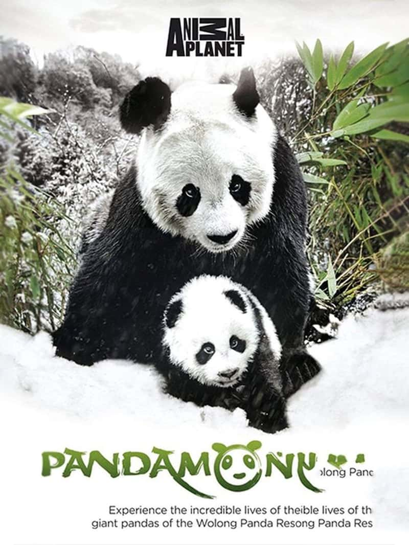 ̽ƵèܶԱ Pandamonium 2008-Ѹ