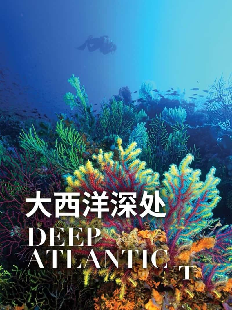 ô¼Ƭ Deep Atlantic 2019-Ѹ