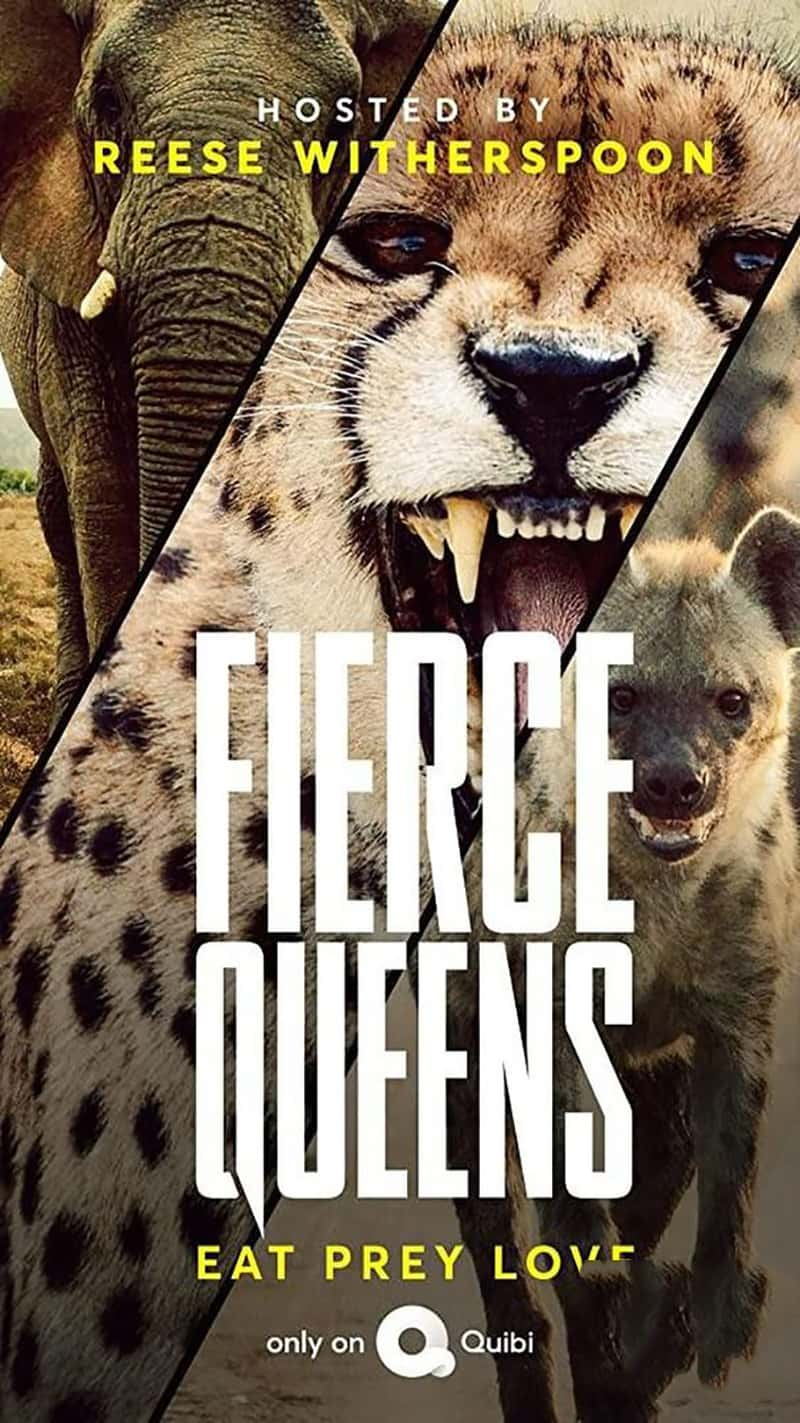 BBC¼ƬԻʺ Fierce Queens 2020-Ѹ