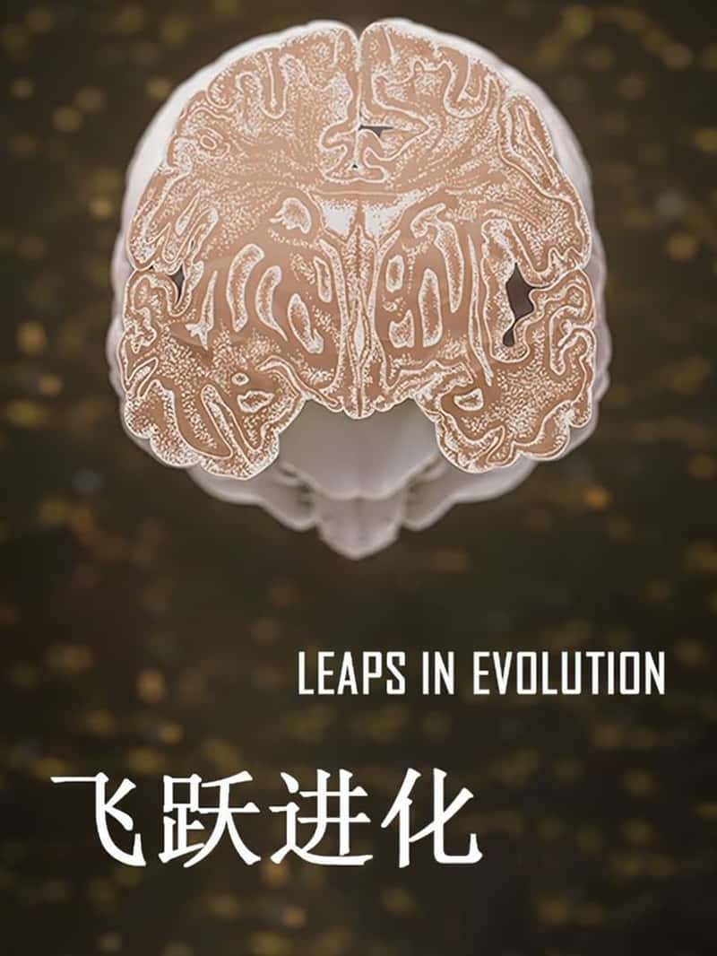 ձ¼ƬԾ Leaps in Evolution 2015-Ѹ