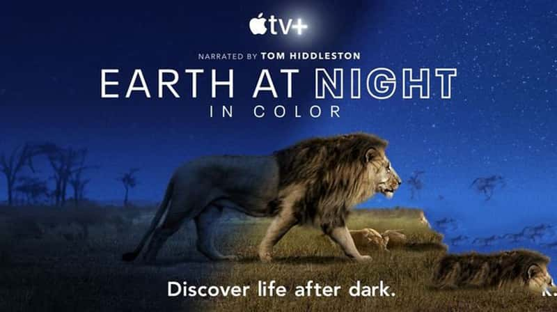 AppleTV¼Ƭҹɫеĵ/̽ҹɫ Earth at Night in Color 2020-Ѹ