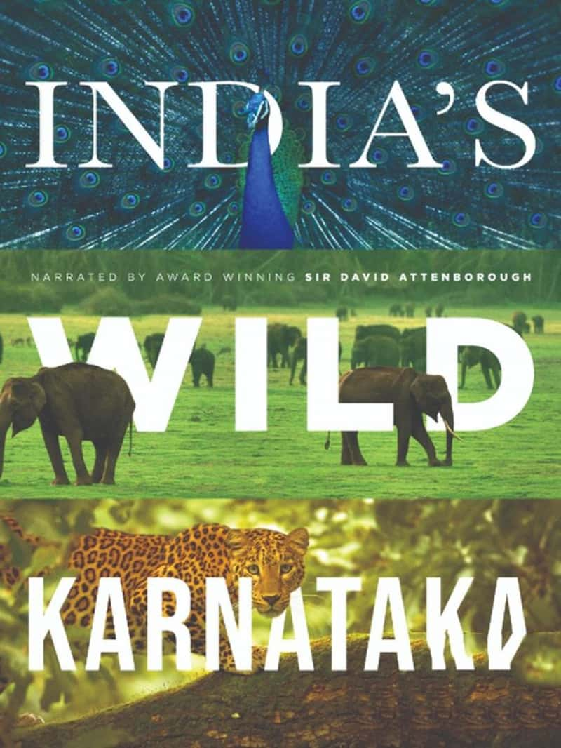 ӡȼ¼ƬҰӡȿ˰ Wild Karnataka 2019ȫ1 - 1080PѸBT